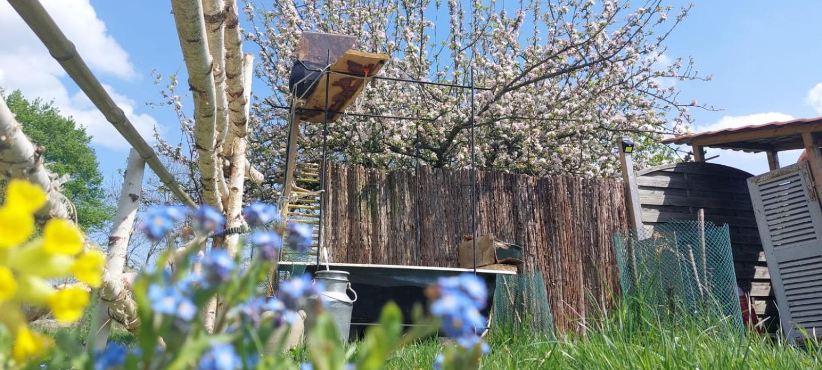 Gite Coeur De Nature Abergement-le-Grand Eksteriør bilde